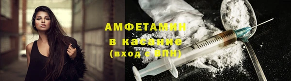 крисы Алзамай
