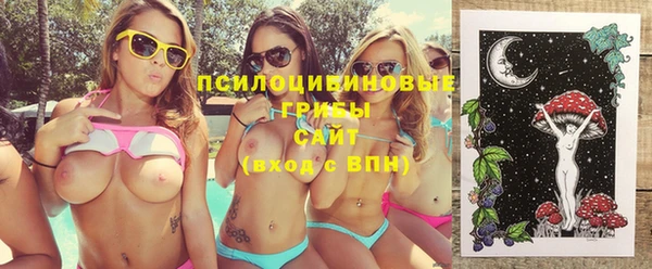 гидропоника Алексеевка