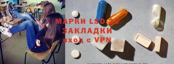 крисы Алзамай